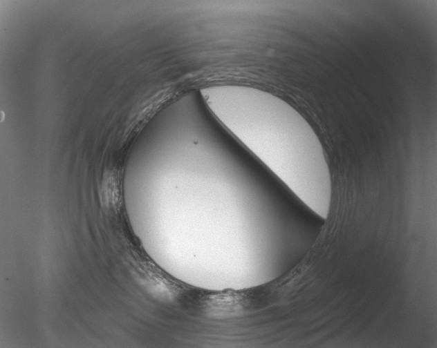 X0000078280335200611031023