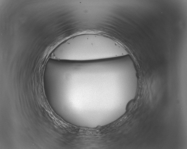 X0000078280337200611031022