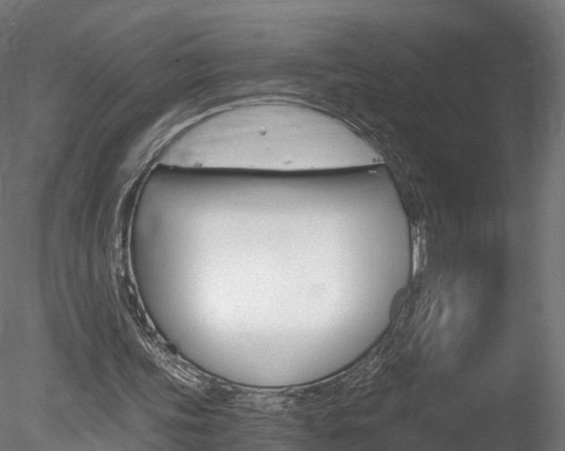 X0000078280339200611031022