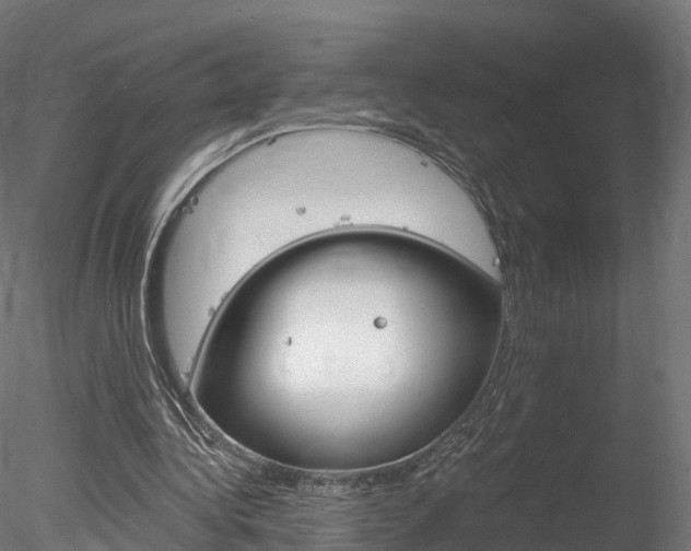 X0000078280340200611031022