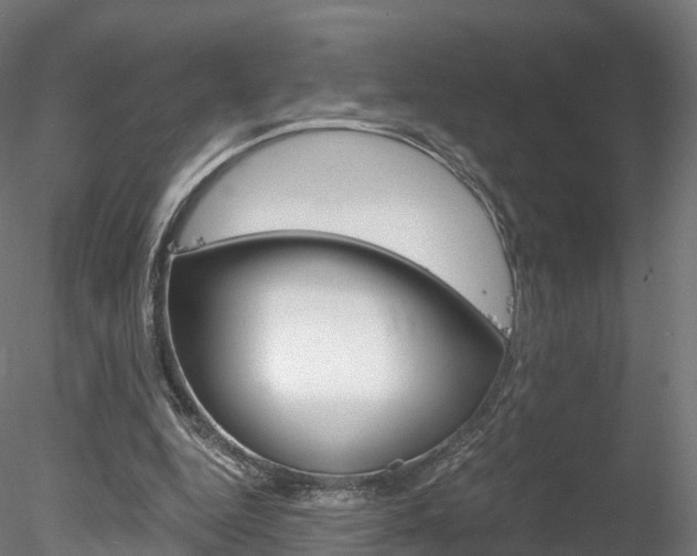 X0000078280344200611031022