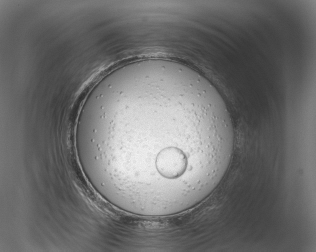 X0000078280347200611031022