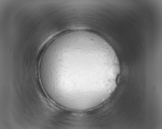 X0000078280351200611031022