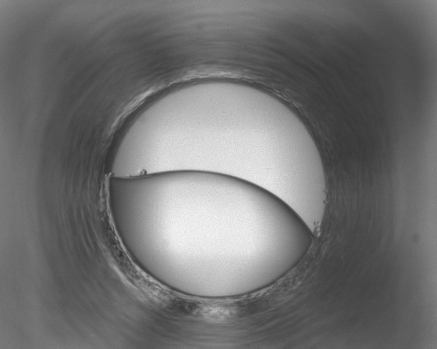 X0000078280352200611031022