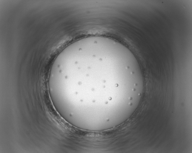 X0000078280354200611031022