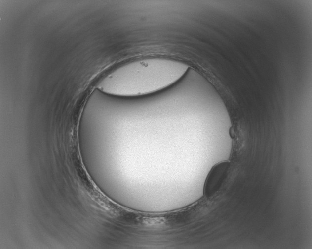 X0000078280355200611031022