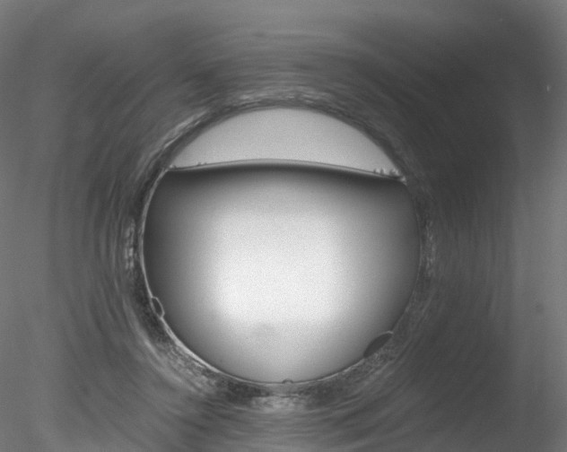 X0000078280356200611031022