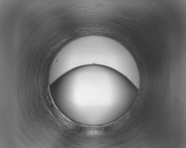 X0000078280360200611031022