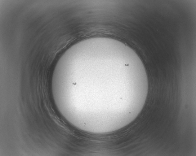 X0000078280362200611031022