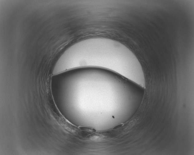 X0000078280364200611031022