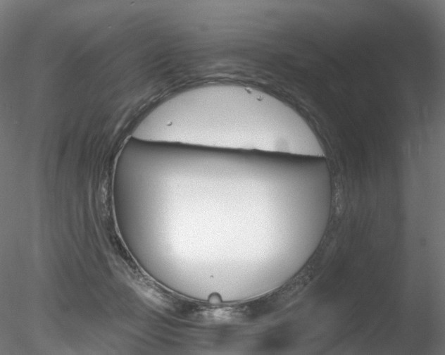 X0000078280365200611031022