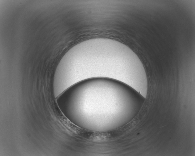 X0000078280368200611031022