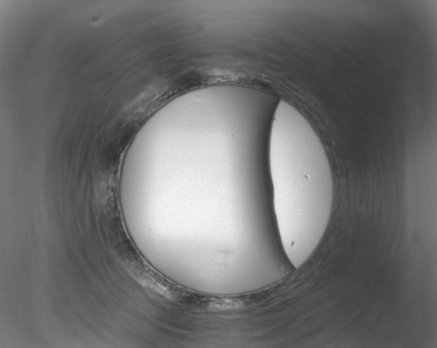 X0000078280369200611031022