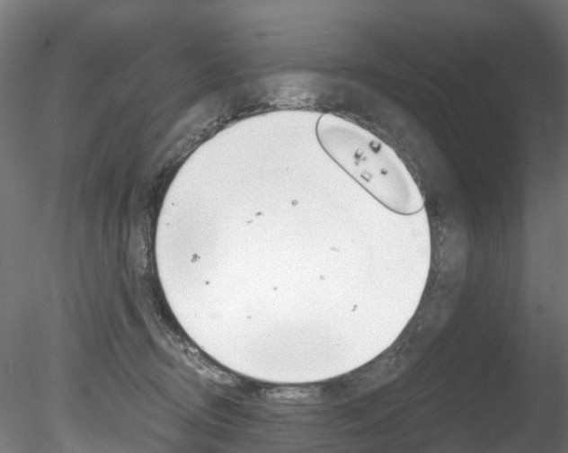 X0000078280370200611031023