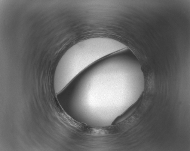 X0000078280376200611031023