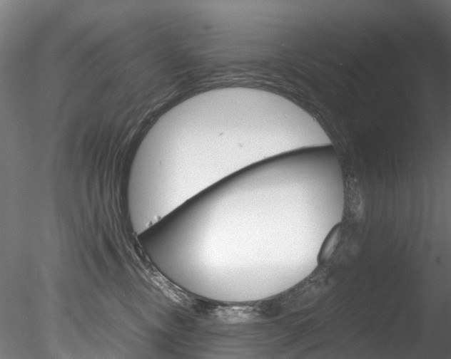 X0000078280378200611031023