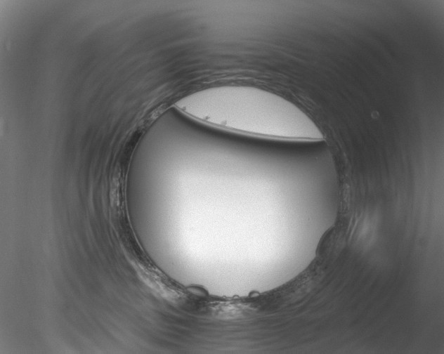 X0000078280379200611031023