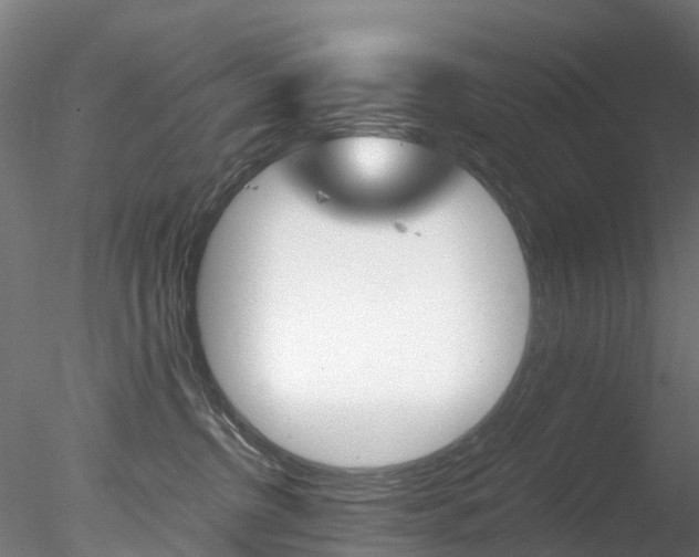 X0000078280380200611031023