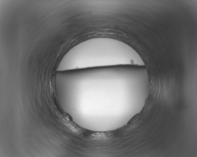 X0000078280381200611031023