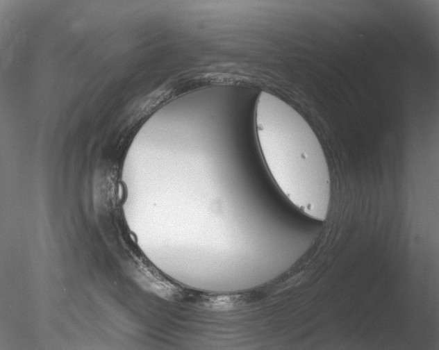 X0000078280382200611031023