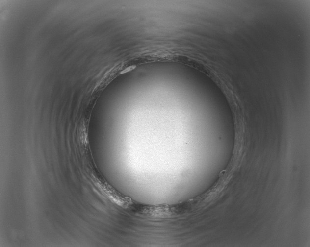 X0000078280384200611031023