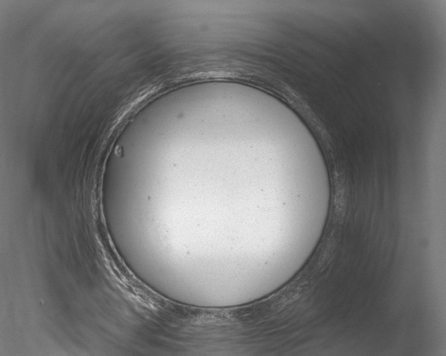 X0000078280386200611031022