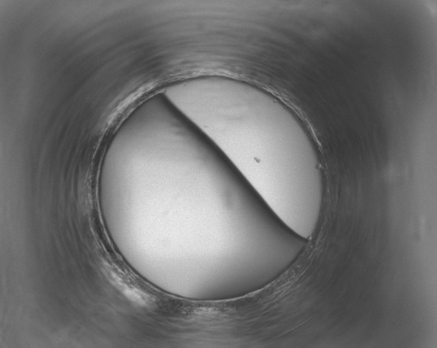 X0000078280390200611031022