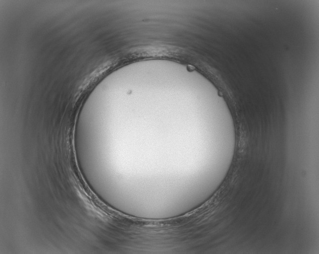 X0000078280394200611031022