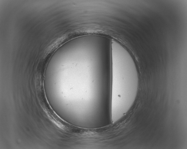 X0000078280397200611031022