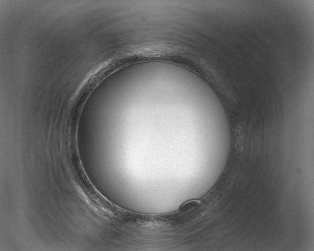 X0000078280400200611031022