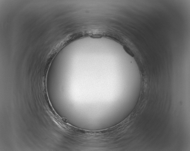 X0000078280401200611031022