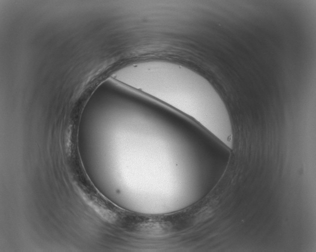 X0000078280404200611031022