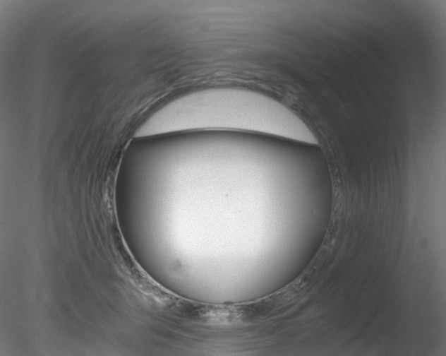 X0000078280415200611031021