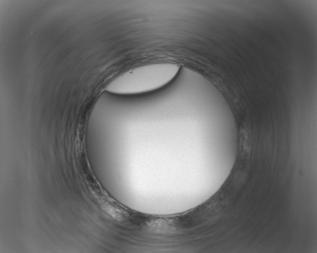 X0000078280422200611031021