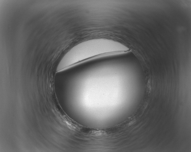 X0000078280424200611031021