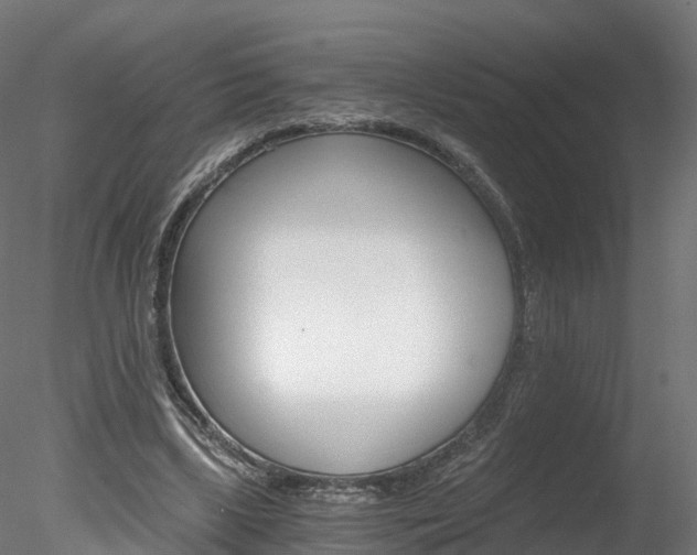 X0000078280443200611031020