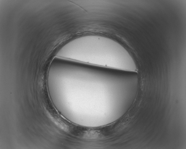 X0000078280451200611031021
