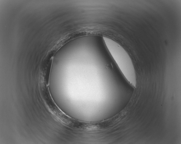 X0000078280456200611031021