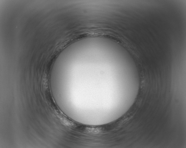 X0000078280469200611031021