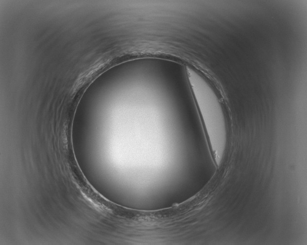 X0000078280489200611031020