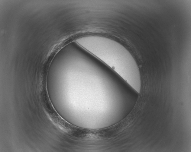 X0000078280496200611031020