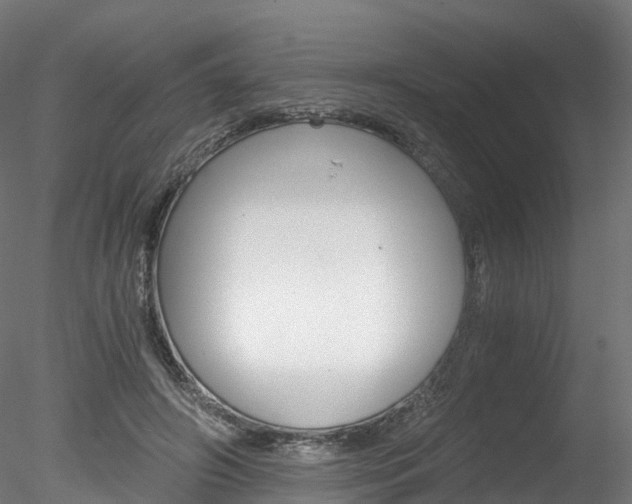 X0000078280498200611031020