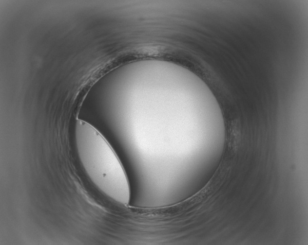 X0000078280500200611031020
