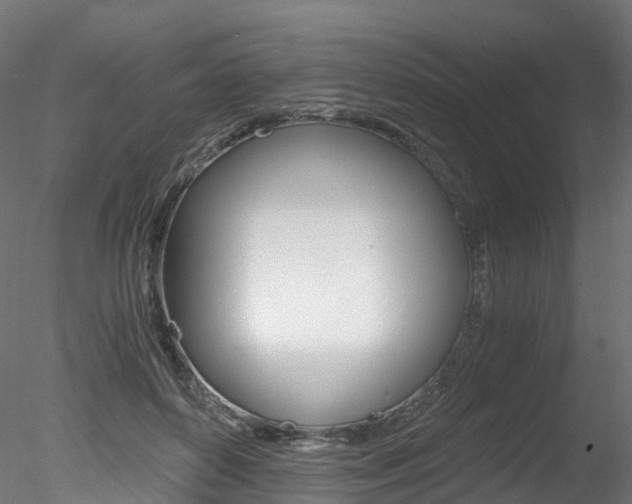 X0000078280504200611031020