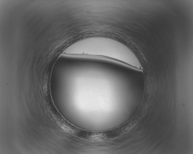 X0000078280505200611031020