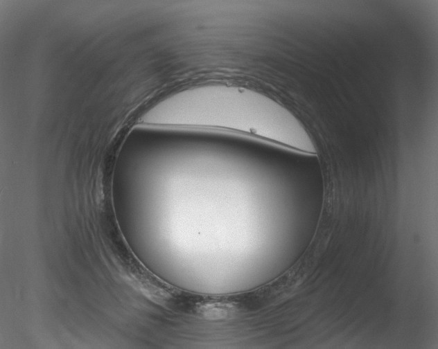 X0000078280508200611031020