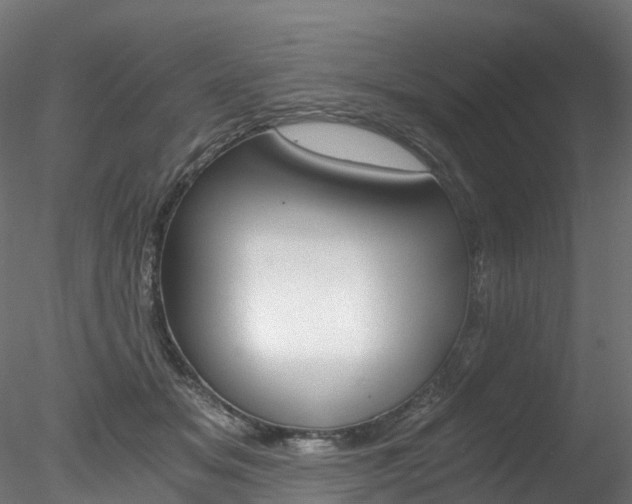 X0000078280509200611031020