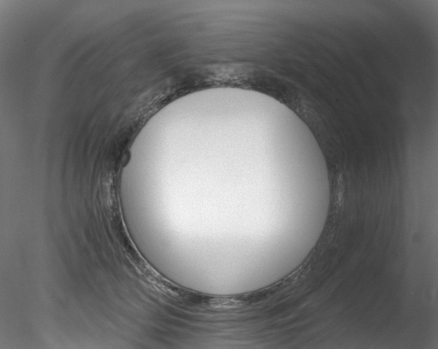 X0000078280514200611031020