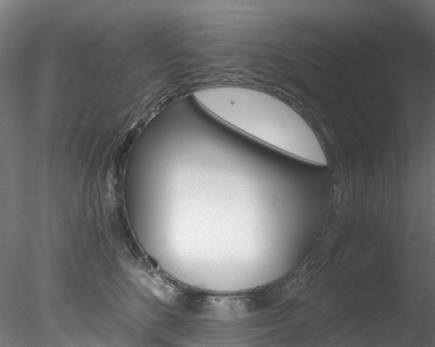 X0000078280520200611031020