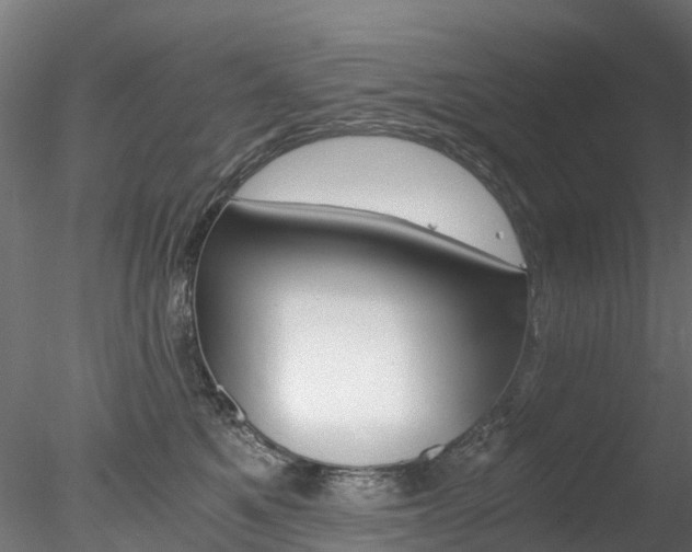 X0000078280521200611031020